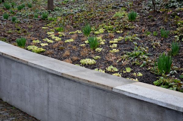 Concrete Wall Construction in Palm Desert