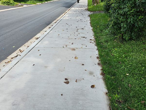 Sidewalk Renovation in Palm Desert