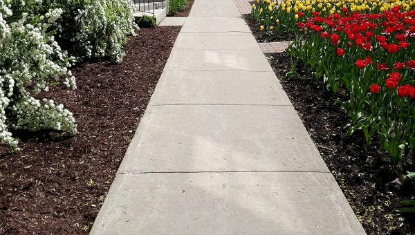 Cement Sidewalk Installation in Palm Desert