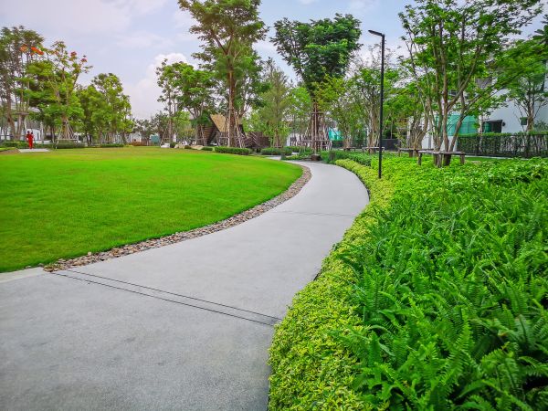 Cement Walkway Service in Palm Desert