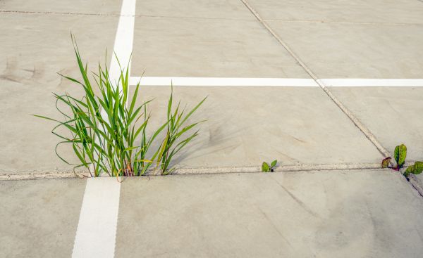 Concrete Parking Installation in Palm Desert