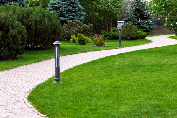 Backyard Sidewalk Installation in Palm Desert