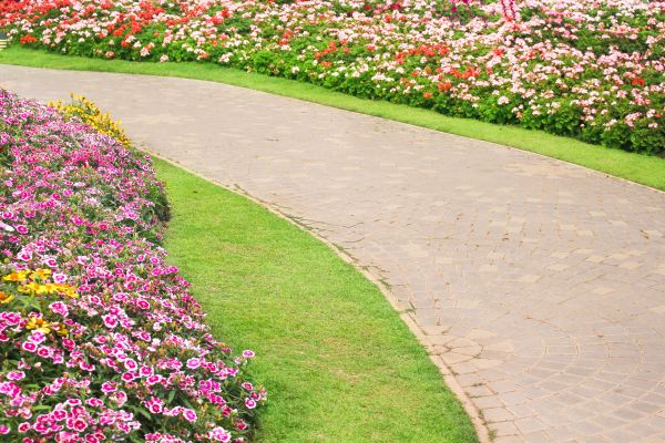 Concrete Walkway Service in Palm Desert