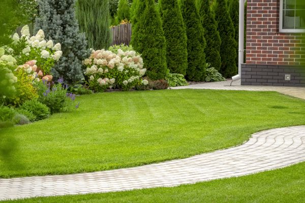 Landscape Walkway Installation in Palm Desert